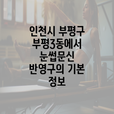 인천시 부평구 부평3동에서 눈썹문신 반영구의 기본 정보