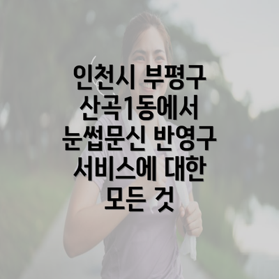 인천시 부평구 산곡1동에서 눈썹문신 반영구 서비스에 대한 모든 것