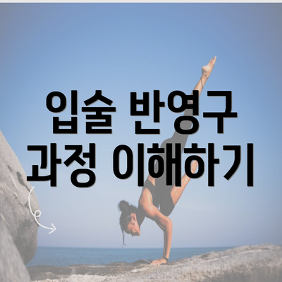 입술 반영구 과정 이해하기