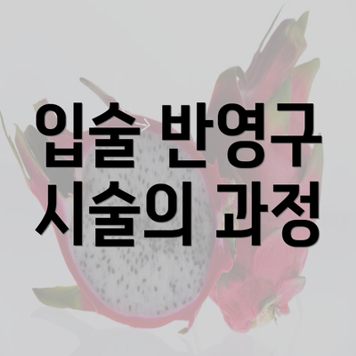 입술 반영구 시술의 과정