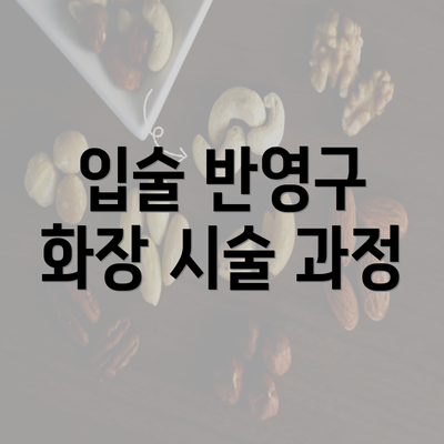 입술 반영구 화장 시술 과정