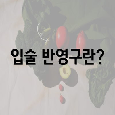 입술 반영구란?