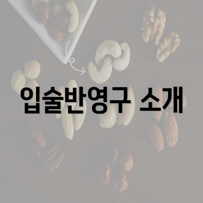 입술반영구 소개