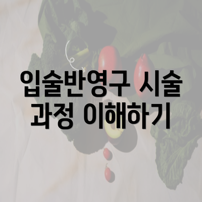 입술반영구 시술 과정 이해하기