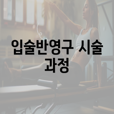 입술반영구 시술 과정