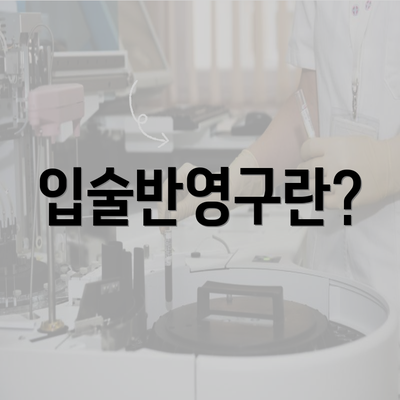 입술반영구란?