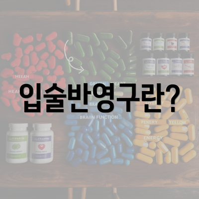 입술반영구란?