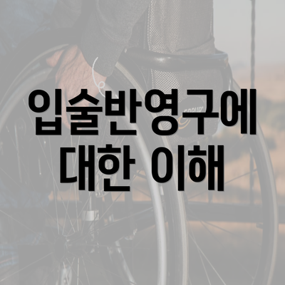 입술반영구에 대한 이해