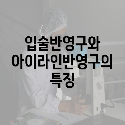 입술반영구와 아이라인반영구의 특징