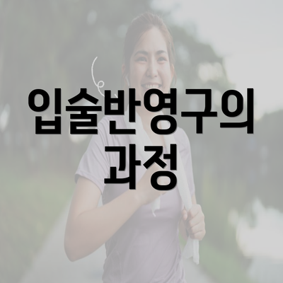 입술반영구의 과정