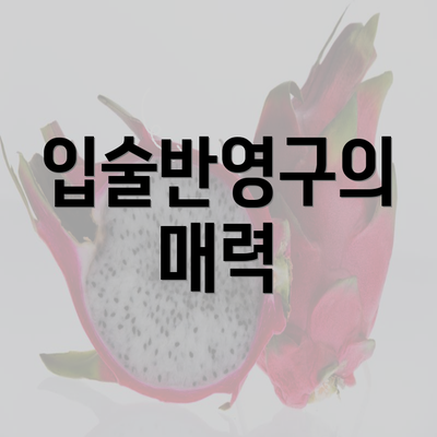 입술반영구의 매력