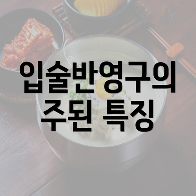 입술반영구의 주된 특징