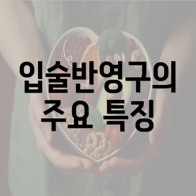 입술반영구의 주요 특징