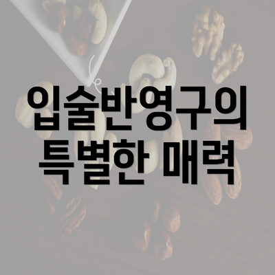 입술반영구의 특별한 매력