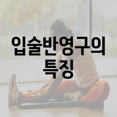 입술반영구의 특징