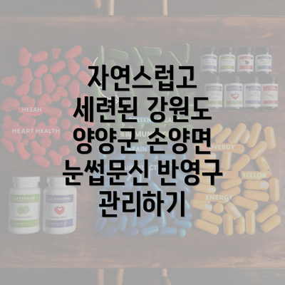 자연스럽고 세련된 강원도 양양군 손양면 눈썹문신 반영구 관리하기