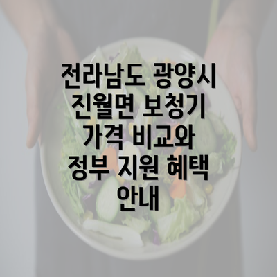 전라남도 광양시 진월면 보청기 가격 비교와 정부 지원 혜택 안내