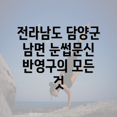 전라남도 담양군 남면 눈썹문신 반영구의 모든 것