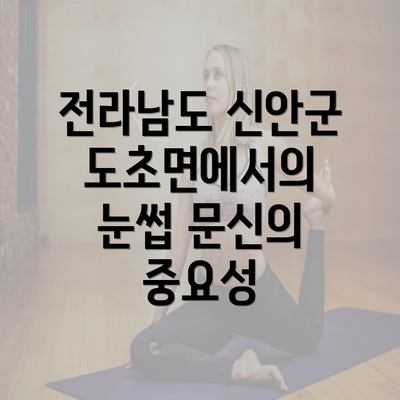 전라남도 신안군 도초면에서의 눈썹 문신의 중요성