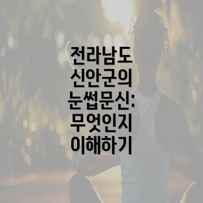 전라남도 신안군의 눈썹문신: 무엇인지 이해하기