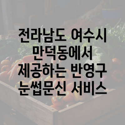 전라남도 여수시 만덕동에서 제공하는 반영구 눈썹문신 서비스