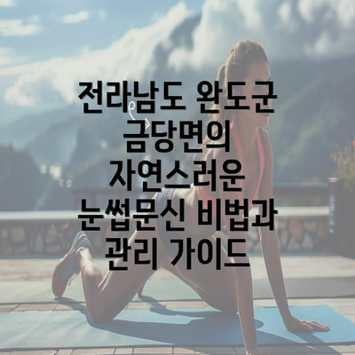 전라남도 완도군 금당면의 자연스러운 눈썹문신 비법과 관리 가이드