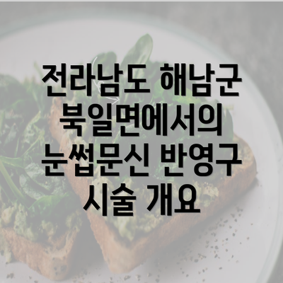 전라남도 해남군 북일면에서의 눈썹문신 반영구 시술 개요