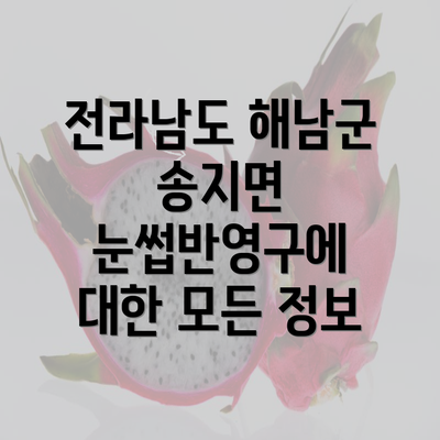 전라남도 해남군 송지면 눈썹반영구에 대한 모든 정보