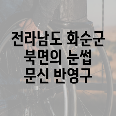 전라남도 화순군 북면의 눈썹 문신 반영구