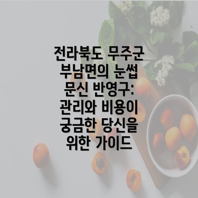 전라북도 무주군 부남면의 눈썹 문신 반영구: 관리와 비용이 궁금한 당신을 위한 가이드