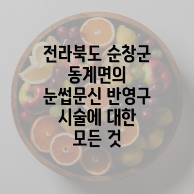 전라북도 순창군 동계면의 눈썹문신 반영구 시술에 대한 모든 것