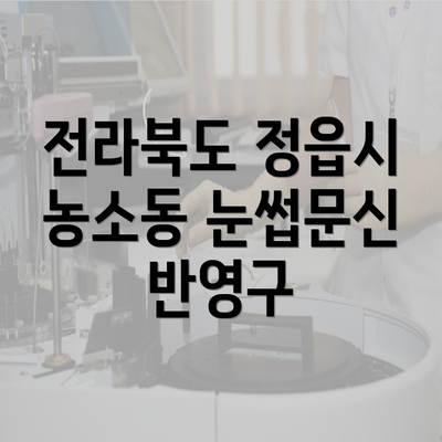 전라북도 정읍시 농소동 눈썹문신 반영구