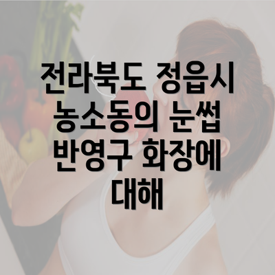 전라북도 정읍시 농소동의 눈썹 반영구 화장에 대해