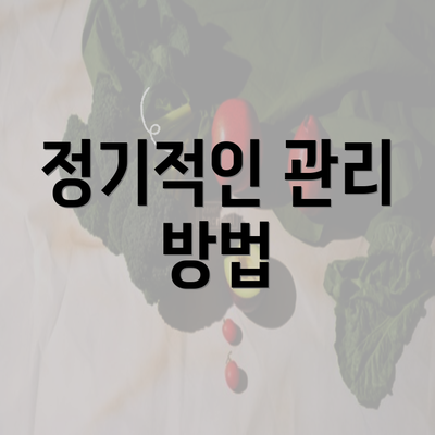 정기적인 관리 방법