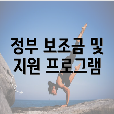 정부 보조금 및 지원 프로그램