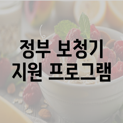 정부 보청기 지원 프로그램