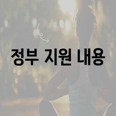 정부 지원 내용