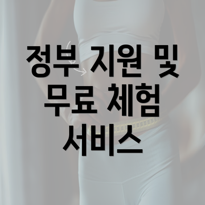 정부 지원 및 무료 체험 서비스