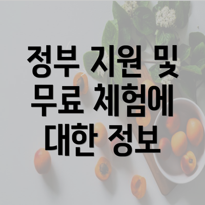 정부 지원 및 무료 체험에 대한 정보