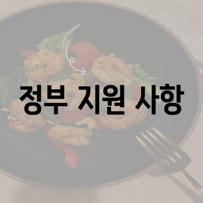 정부 지원 사항