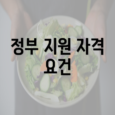 정부 지원 자격 요건