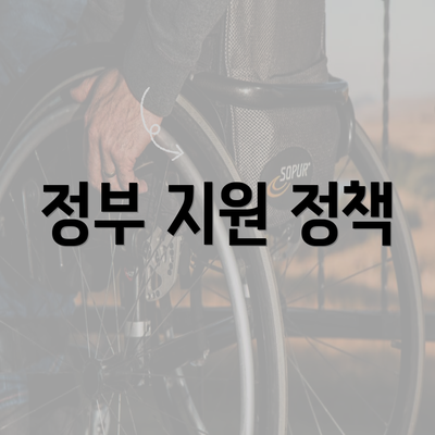 정부 지원 정책