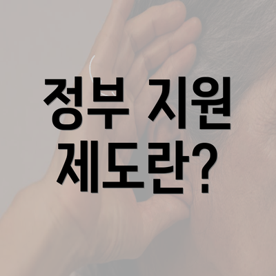 정부 지원 제도란?