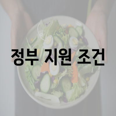 정부 지원 조건