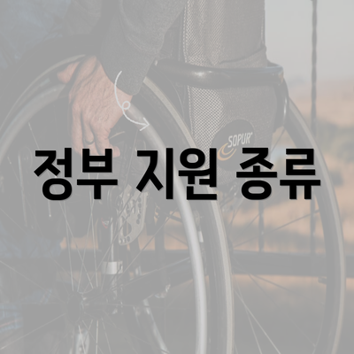 정부 지원 종류