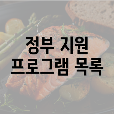 정부 지원 프로그램 목록