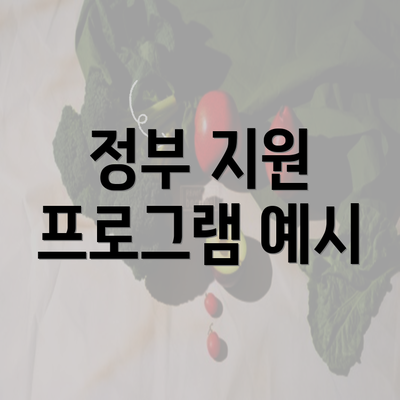 정부 지원 프로그램 예시