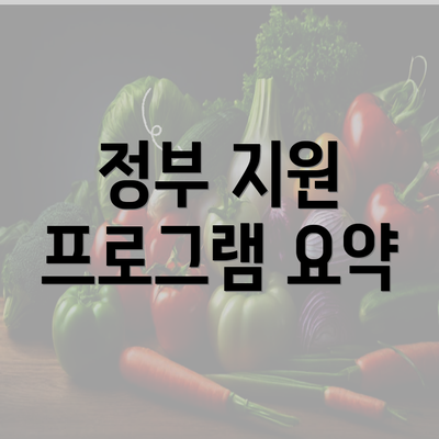 정부 지원 프로그램 요약