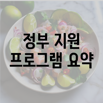 정부 지원 프로그램 요약