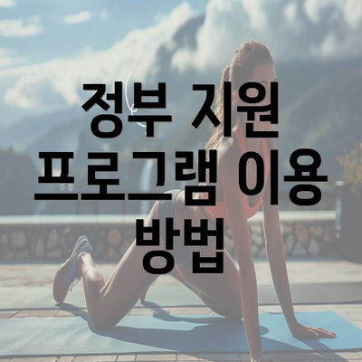 정부 지원 프로그램 이용 방법